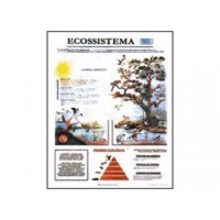 MAPAS (ECOLOGIA ECOSSISTEMA)89X117CM C/MOLD.MADEIRA 