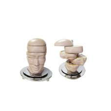 cabeça em disco corte axial